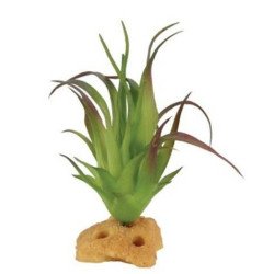 ZOLUX PIANTINA TROPICALE PER DECORAZIONE DEL TERRARIO