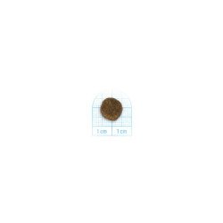 FORZA10 MINI ADULT MAINTENANCE PESCE 1-10KG
