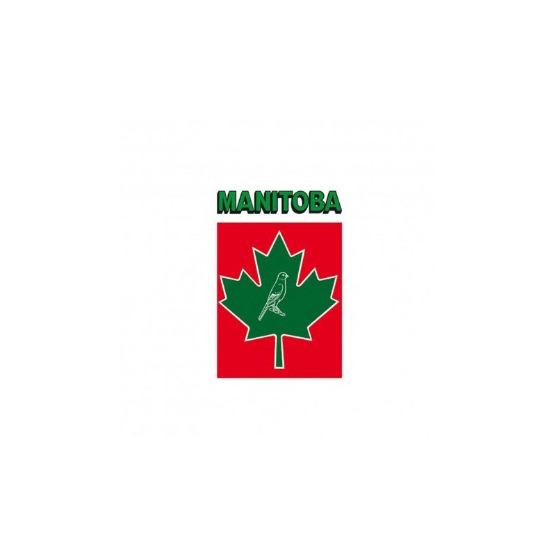 MANITOBA MISCELA CANARINI T3 20KG