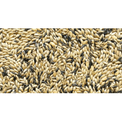 MANITOBA MISCELA CANARINI T3 20KG