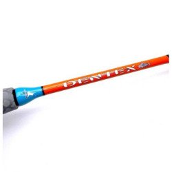 ARTICO CANNA DENTEX MONOFUSTO 2.05MT 8lbs