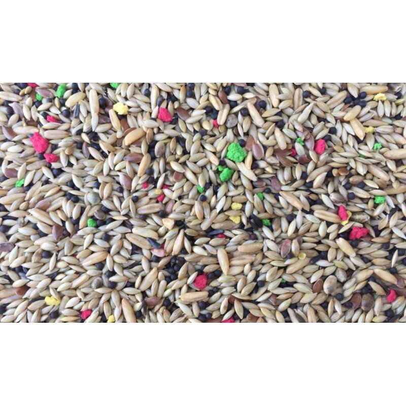 FLY RAGGIO DI SOLE CANARIA BISCUITS 25KG