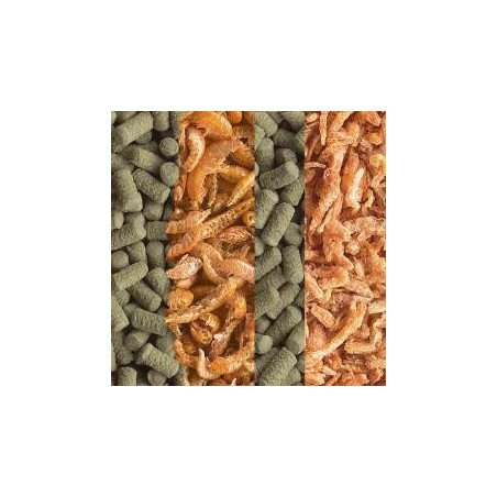 TETRA REPTOMIN REPTOMIN MENU 250 ML