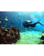 Articoli subacquea: fucili ad aria, octopus, bombole ossigeno, mute