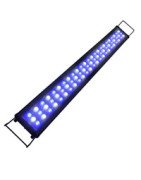 Illuminazione per acquari
