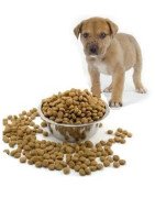 mangime per cani secco in sacchi da vari formati vari croccantini e gusti per cani adulti e cuccioli