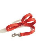 GUINZAGLI E COLLARI NYLON