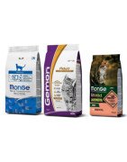 In questa categoria potete trovare tutti i prodotti della linea Monge per i vostri gatti